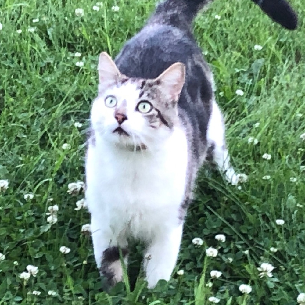 Meet your Posher, Ricky